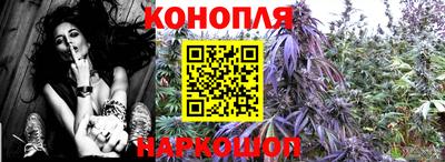 марихуана Будённовск