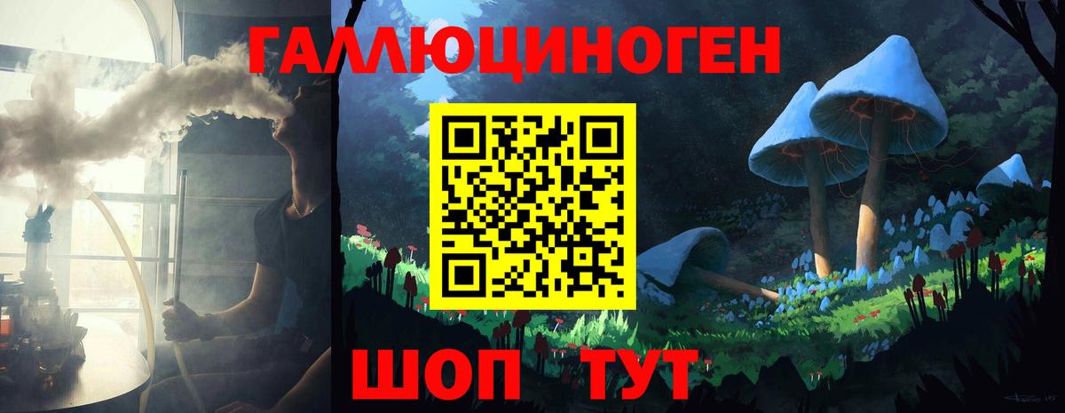 Псилоцибиновые грибы Psilocybine cubensis Хасавюрт