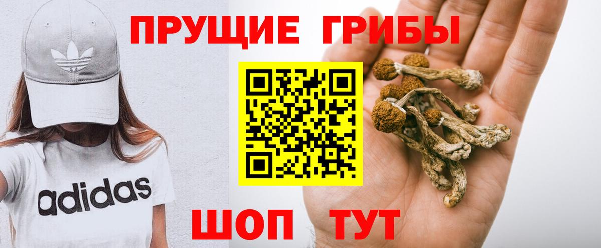 Хасавюрт  Галлюциногенные грибы Magic Shrooms  где купить наркотик  Вход с VPN 